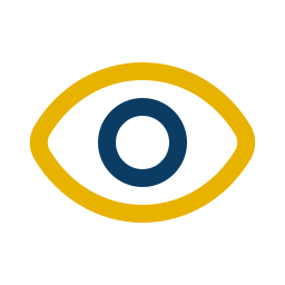 vision 2